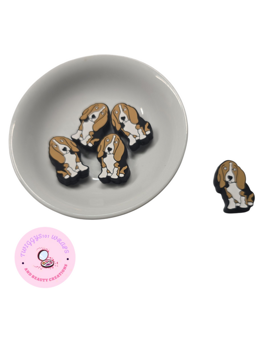 BEAGLE FOCAL